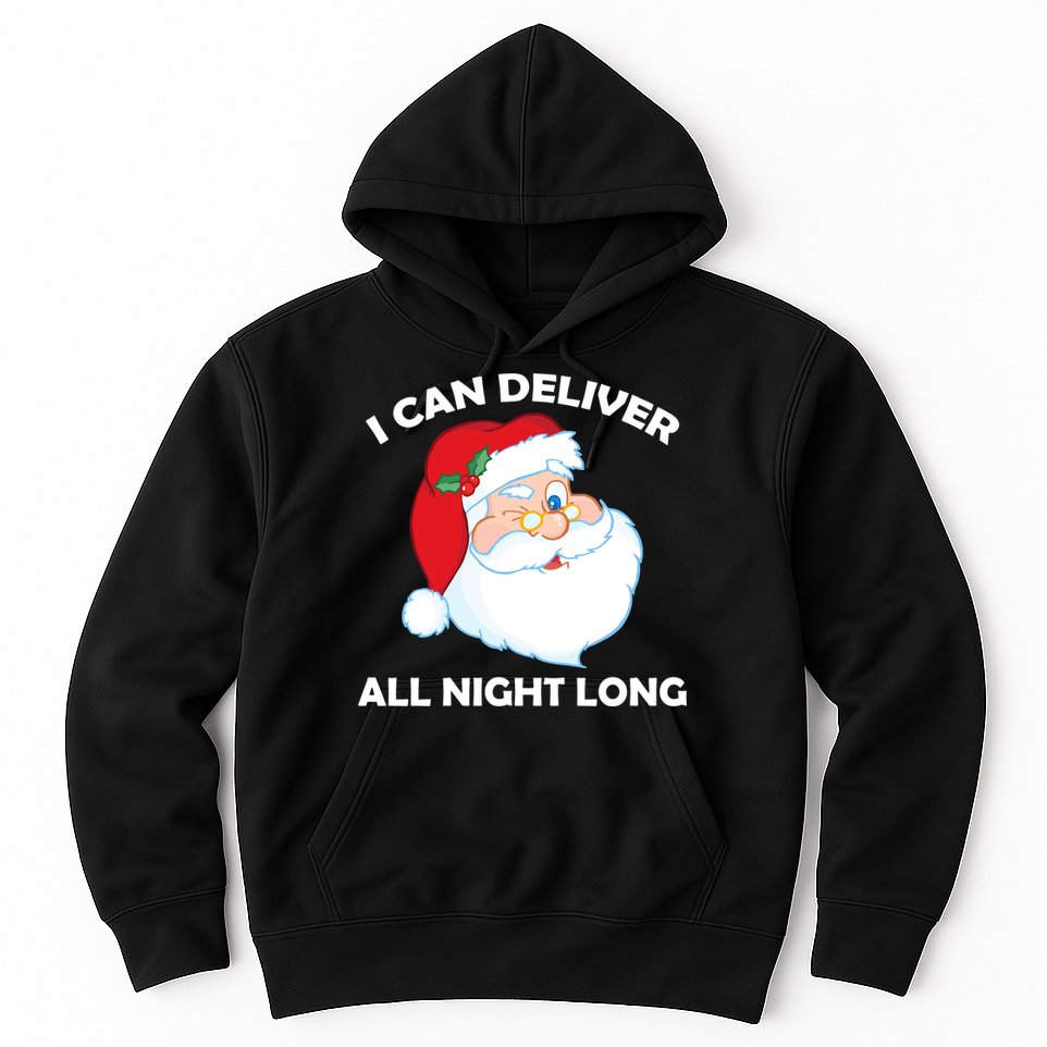 I Can Deliver All Night Long X-Mas Bad Santa Hoodie