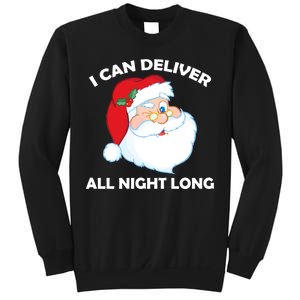 I Can Deliver All Night Long X-Mas Bad Santa Sweatshirt