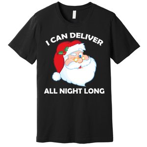 I Can Deliver All Night Long X-Mas Bad Santa Premium T-Shirt