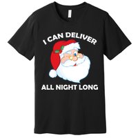 I Can Deliver All Night Long X-Mas Bad Santa Premium T-Shirt