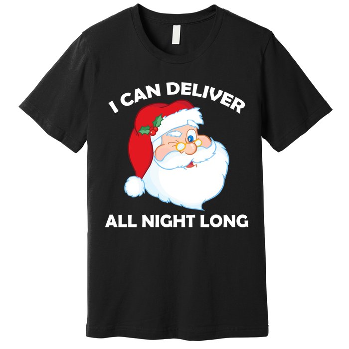 I Can Deliver All Night Long X-Mas Bad Santa Premium T-Shirt