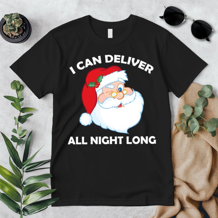 I Can Deliver All Night Long X-Mas Bad Santa Premium T-Shirt