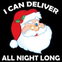 I Can Deliver All Night Long X-Mas Bad Santa Premium T-Shirt