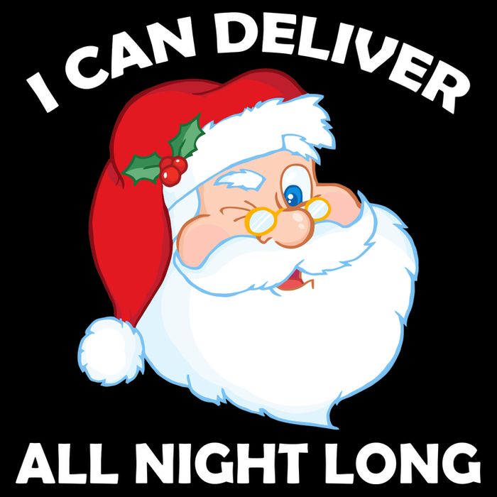 I Can Deliver All Night Long X-Mas Bad Santa Premium T-Shirt