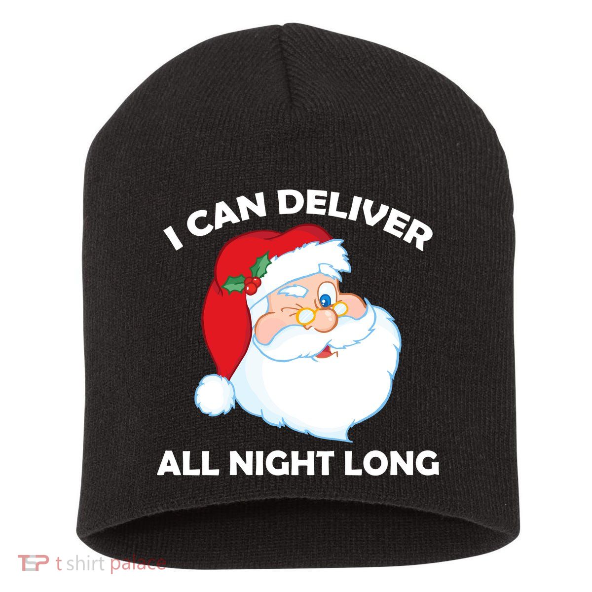 I Can Deliver All Night Long X-Mas Bad Santa Short Acrylic Beanie