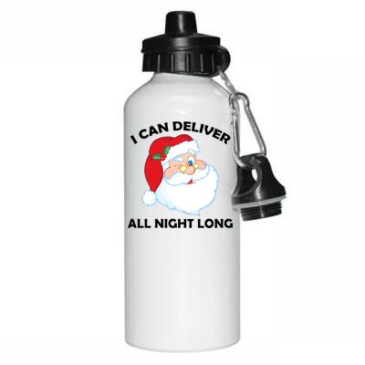 I Can Deliver All Night Long X-Mas Bad Santa Aluminum Water Bottle 