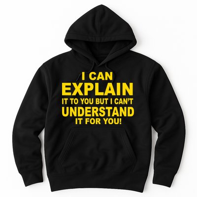 I Can Explain It But I can't Understand It For You Hoodie