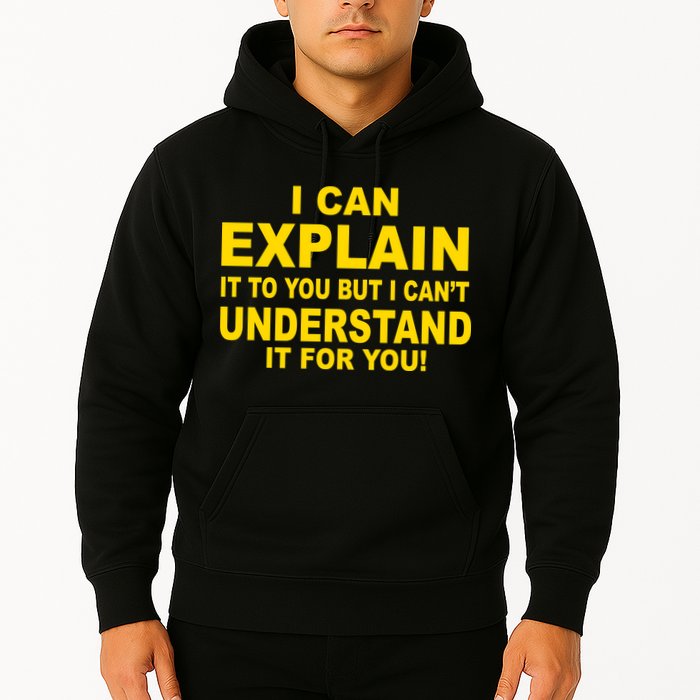 I Can Explain It But I can't Understand It For You Hoodie