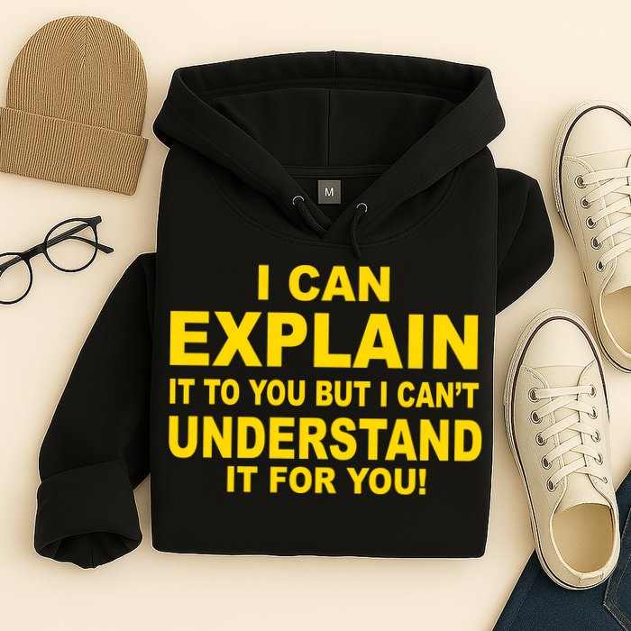 I Can Explain It But I can't Understand It For You Hoodie