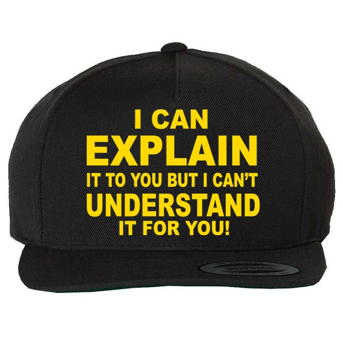 I Can Explain It But I can't Understand It For You Wool Snapback Cap