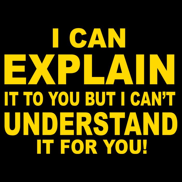 I Can Explain It But I can't Understand It For You Wool Snapback Cap