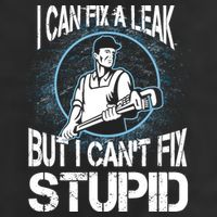 I Can Fix A Leak But Can't Fix Stupid Garment-Dyed Heavyweight T-Shirt