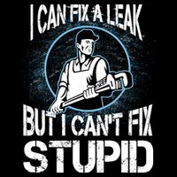 I Can Fix A Leak But Can't Fix Stupid 7-Panel Snapback Hat