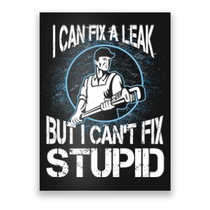 I Can Fix A Leak But Can't Fix Stupid Poster