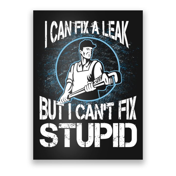 I Can Fix A Leak But Can't Fix Stupid Poster