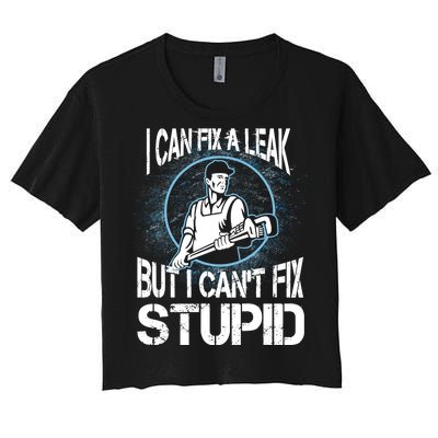 I Can Fix A Leak But Can't Fix Stupid Women's Crop Top Tee