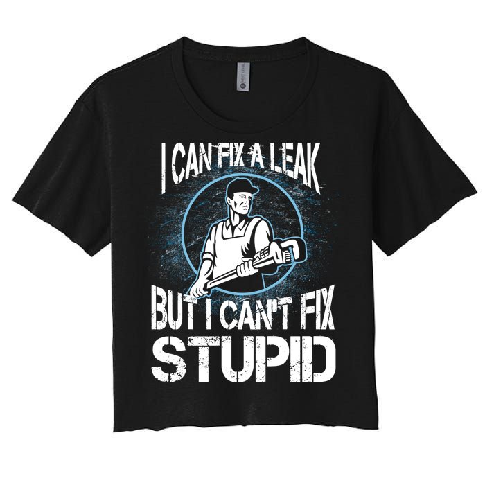 I Can Fix A Leak But Can't Fix Stupid Women's Crop Top Tee