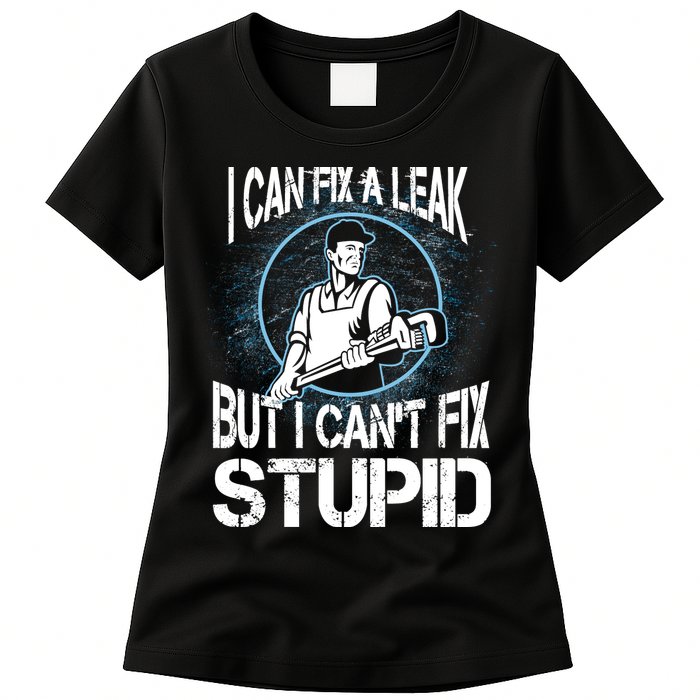 I Can Fix A Leak But Can't Fix Stupid Womens T-Shirt