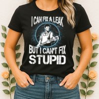 I Can Fix A Leak But Can't Fix Stupid Womens T-Shirt