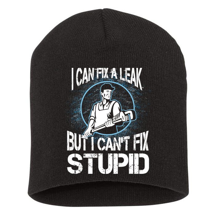 I Can Fix A Leak But Can't Fix Stupid Short Acrylic Beanie