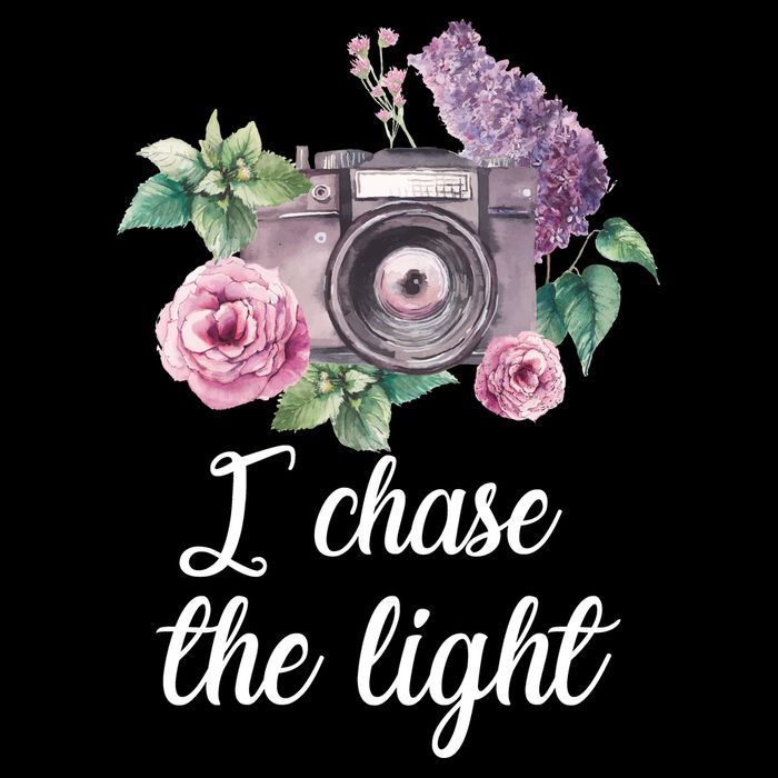 I Chase the Light Camera 7-Panel Snapback Hat