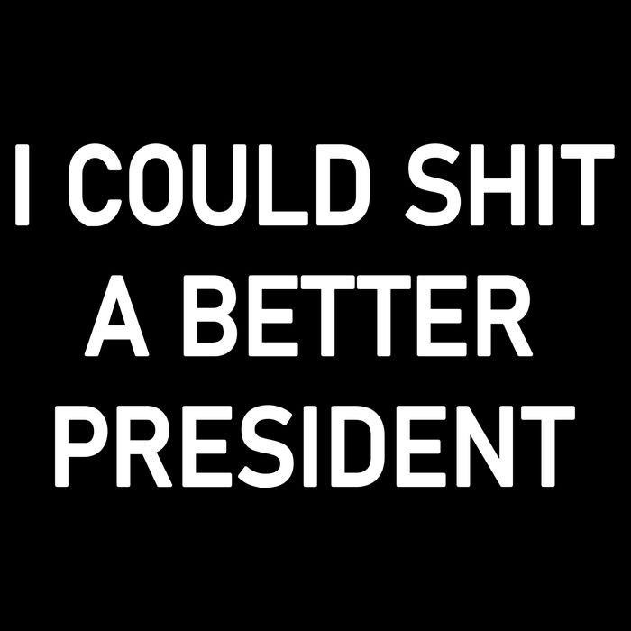I Could Shit A Better President Funny Pro Republican Cropped Pullover Crew