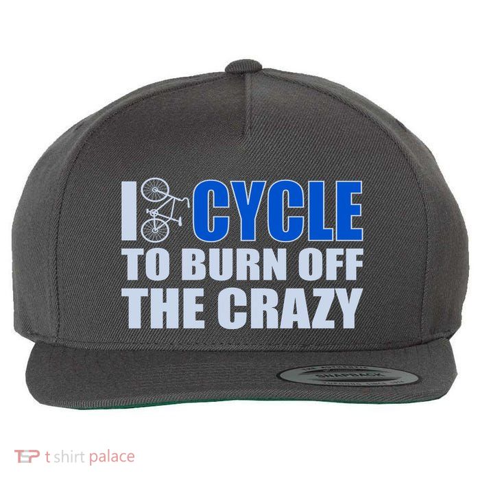 I Cycle To Burn Off The Crazy Wool Snapback Cap