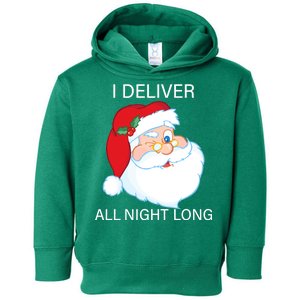 I Deliver All Night Long Funny Santa Toddler Hoodie