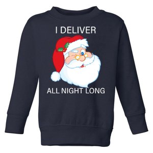 I Deliver All Night Long Funny Santa Toddler Sweatshirt