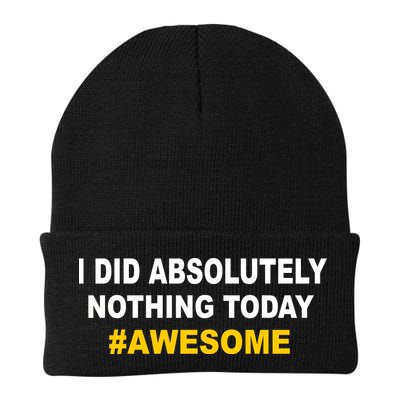 I Did Absolutely Nothing Today #Awesome Beanie