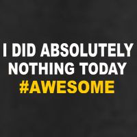 I Did Absolutely Nothing Today #Awesome Tumbler