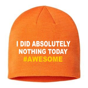 I Did Absolutely Nothing Today #Awesome Sustainable Beanie