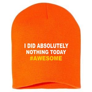 I Did Absolutely Nothing Today #Awesome Short Acrylic Beanie