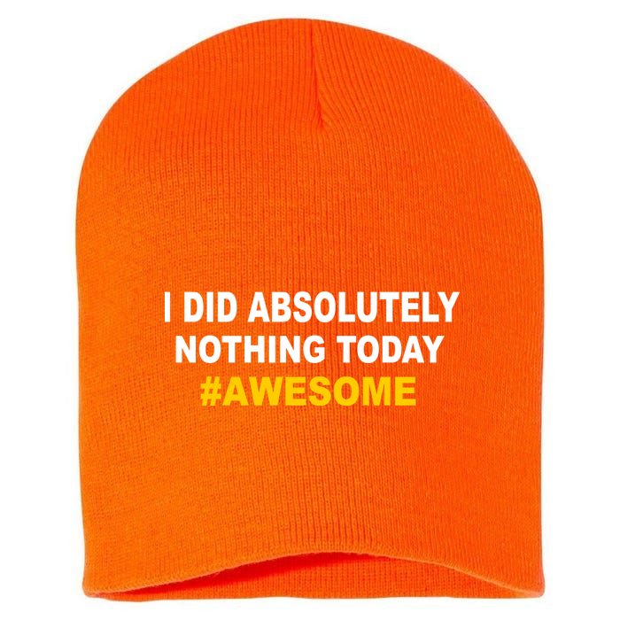 I Did Absolutely Nothing Today #Awesome Short Acrylic Beanie
