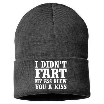 I Didn't Fart I Blew You A Kiss Sustainable Knit Beanie