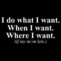 I Do What I Want Button