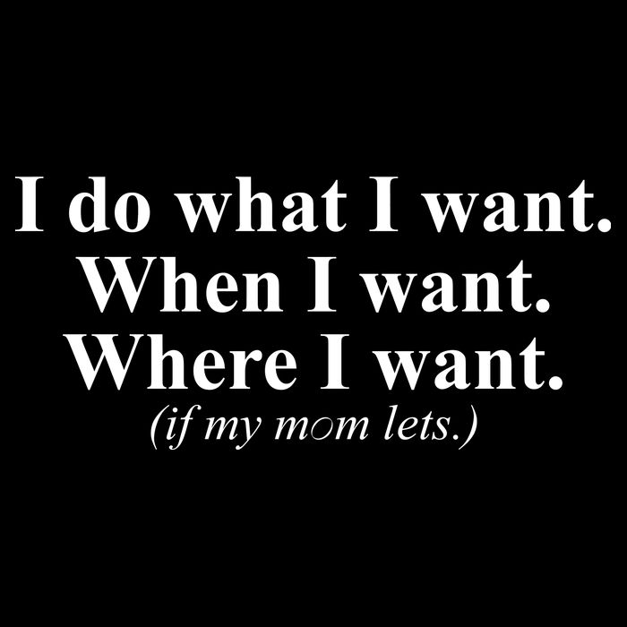 I Do What I Want Button
