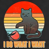I Do What I Want Bad Cat Garment-Dyed Fleece Hoodie