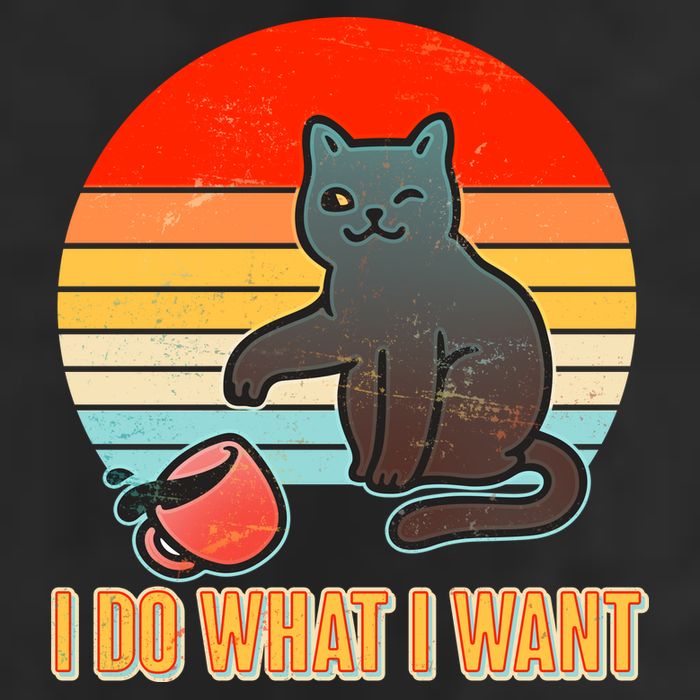 I Do What I Want Bad Cat Garment-Dyed Fleece Hoodie