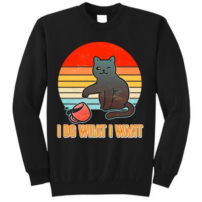 I Do What I Want Bad Cat Sweatshirt