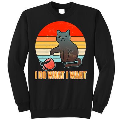 I Do What I Want Bad Cat Sweatshirt