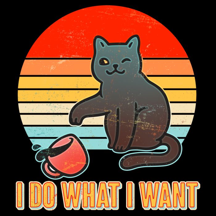I Do What I Want Bad Cat 7-Panel Snapback Hat