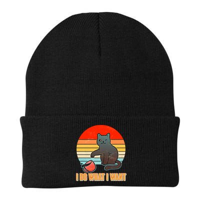 I Do What I Want Bad Cat Beanie