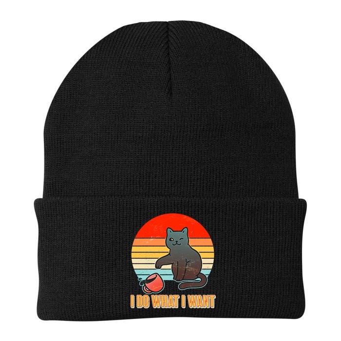 I Do What I Want Bad Cat Beanie