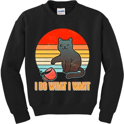 I Do What I Want Bad Cat Kids Sweatshirt
