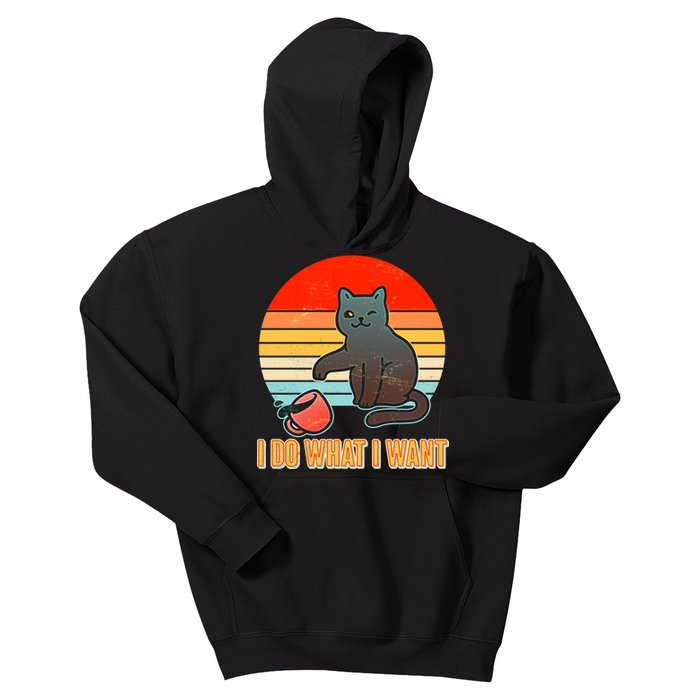 I Do What I Want Bad Cat Kids Hoodie