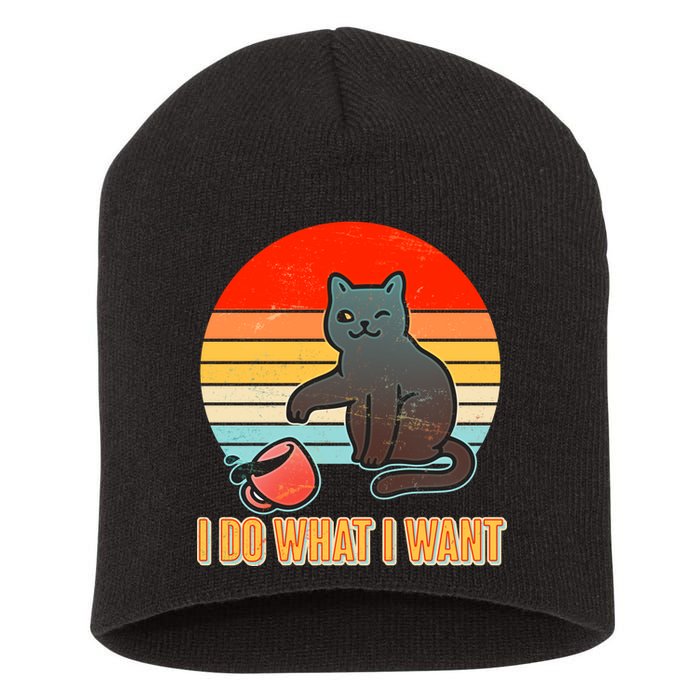 I Do What I Want Bad Cat Short Acrylic Beanie