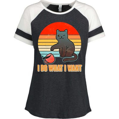 I Do What I Want Bad Cat Enza Ladies Jersey Colorblock Tee