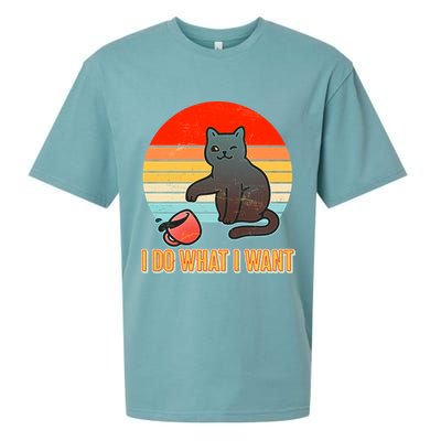 I Do What I Want Bad Cat Sueded Cloud Jersey T-Shirt