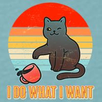 I Do What I Want Bad Cat Sueded Cloud Jersey T-Shirt
